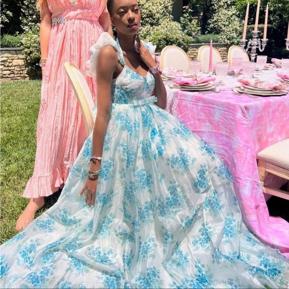 NEW LoveShackFancy Macron Gown Magic Turquoise Floral Gown size 4 - Picture 4 of 14